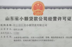 最高法认定小额贷款公司为金融机构，怀化民间借贷不受民间4倍LPR利率限制